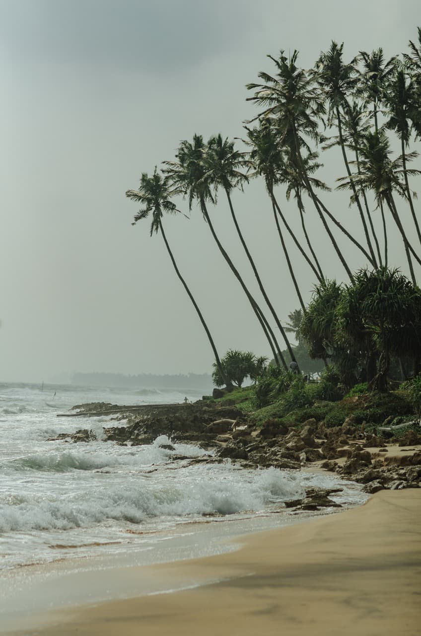 Превью Sri Lanka 2022